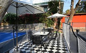 Brij Nest, Jaipur - An All Suite Boutique Hotel